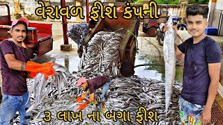 વેરાવળ ફીશ કંપની || ૩ લાખ ના બગા ફીશ || ribbon fish  #viral #fish #ribbon #vlog #fishingvideo