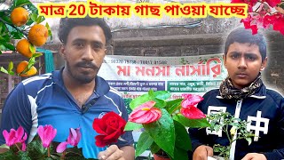 মাত্র 20 টাকায় গাছ পাওয়া যাচ্ছে ||Tree Only 20 rupees || মা মনসা নার্সারি #nursery #bengali_garden