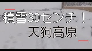 積雪３０センチ！天狗高原