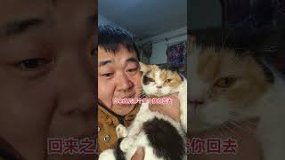 多一些理解，多一些付出！對貓不對人！#流浪貓救助 #流浪動物不流浪 #領養 #每個生命都應該被尊重 #貓傳腹2