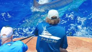 BLUE MARLIN FISHING!!  (Viking 92 Fa-La-Me)