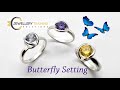 Butterfly Setting