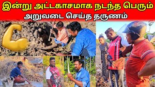 இன்று அட்டகாசமாக நடந்த பெரும் அறுவடை செய்த தருணம்💪💪/SSV VLOG/jaffna vlog/😱😱