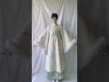 long skirt ming dynasty winter hanfu traditional chinese clothing v4976