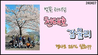 [4K] 240407 벚꽃 라이딩 천태호, 감물리 다녀왔습니다. 부산은 벚꽃엔딩 이지만 영상으로 다시  보시죠. 역감물리 순간경사도 26%에서 로뚱 죽다살았습니다. 고프로12