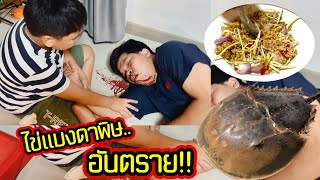 เตือนภัย!! ห้ามกินแมงดาถ้วย ไข่แมงดามีพิษร้ายอันตรายถึงชีวิต ละครสอนใจ | คิดดีทีวี