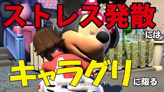 【トゥーンタウン選挙】ディズニーランド・アドベンチャーズ のほほん実況プレイPart008【キャラグリ】