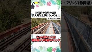 静岡県の秘境の世界！奥大井湖上駅にやってきた！！