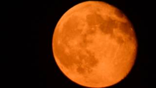 Super Moon 2013 089