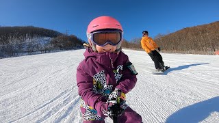 Hachimantai Family Shred Trip