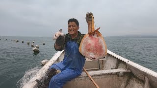 阿阳出海搞到几十斤的海鲜，意外发现串钩缠留的大货，今天赚大了