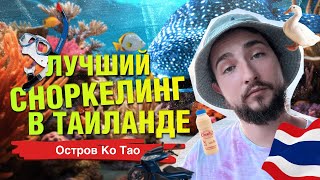 Ко Тао: Лучший Сноркелинг в Таиланде, Уединенные Пляжи с Коралловыми Рифами Прямо у Берега