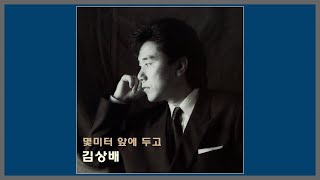 몇 미터 앞에 두고 - 김상배 / (1990) (가사)