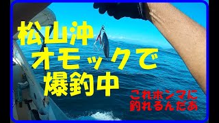 自作ルアーとオモックでメーカー品ジグに挑む　松山沖ジギング