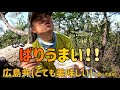 【ソロ登山】河平連山の山を歩けば、もっと山をすきになる。それが河平連山です🌈