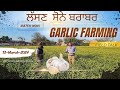 Garlic farming in india, crop and profits : Long Interview