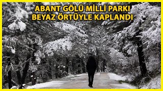 Bolu Abant'ta Kar Yağışı; 10 Santimetreye Ulaştı