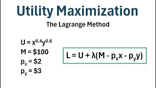 Utility Maximization Using the Lagrange Method