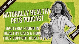 Bacteria Found in Healthy Cats \u0026 How They Support Health | NHP Podcast Ep 13 | Dr. Judy \u0026 Holly Ganz