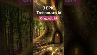 3 Best Treehouses in Oregon, USA