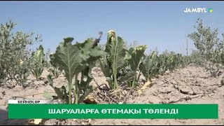 Шаруаларға өтемақы төленді