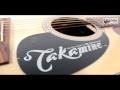 Takamine EG 320 C