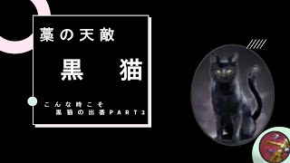 【逆村観戦013】こんな時こそ黒猫の出番PART2【人狼ジャッジメント】