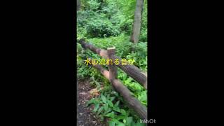 目黒に　林試の森公園　癒やされる😌🎶🌈