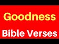 10 Bible Verses On Goodness | Get Encouraged