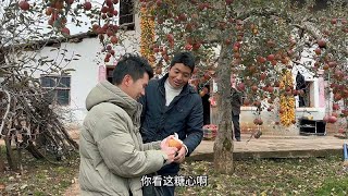 老谭答应果农，帮他收完他家的苹果，果农大哥非常开心