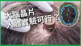 在大腦裝晶片讓「心想事成」不是夢？ 曾因拿60頭豬做實驗引安全疑慮爭議！ 腦機介面進展到可人體實驗？技術真的可行嗎？【TODAY 看世界｜小發明大革命】