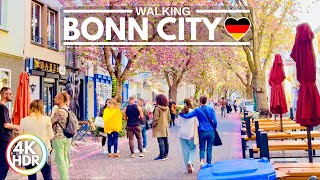 4K HDR // Sunny Day in Former West Germany Capital, Bonn Cherry Blossoms 2022 - With Captions!