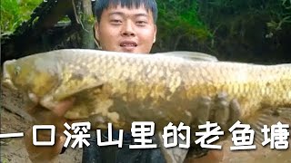 【戶外捕魚vlog】花一千三包下一口深山裏的老魚塘，沒想到裏面還有這種大貨...#三農#抓魚