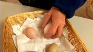 Understanding Chickens \u0026 Eggs : Types of Chicken Eggs