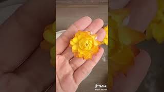 How to make dried pressed flower with silicagel