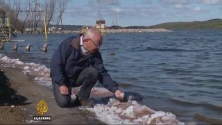 Canada's salt lakes help reduce carbon emissions