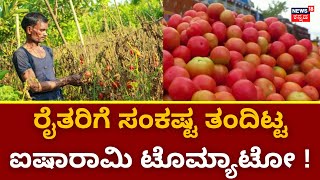 Kolar Tomato Crop Issue | ಟೊಮ್ಯಾಟೋ ಬೆಲೆ ಗಗನಕ್ಕೇರಿದ್ದರೂ ರೈತರಿಗೆ ಸಂಕಷ್ಟ ! | Price Hike