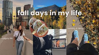 fall days in calgary vlog | productive days, running & fall hike