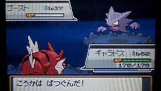 Playtube Pk Ultimate Video Sharing Website