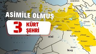 Asimile Olmuş 3 Kürt Şehri