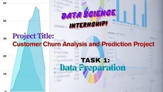 Task 1 Data Preparation