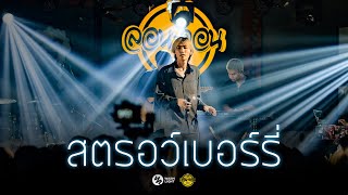 สตรอว์เบอร์รี - Warmlight  team | Lazyloxy x Samblack [Live at London2020]