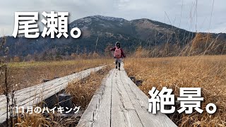 【尾瀬ヶ原】11月のハイキング【Vlog】