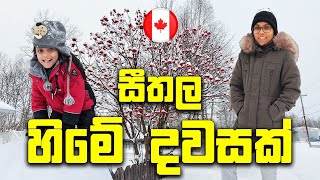 සීතල හිමේ දවසක් | A Snowy Day In Canada | Canada Sinhala Vlogs |@SehaVlogs