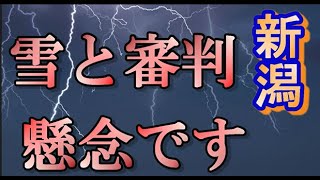 新潟が背負うハンデ「雪と審判」【アルビレックス新潟/albirex】