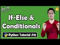 If else conditionals in Python | Python Tutorial #13