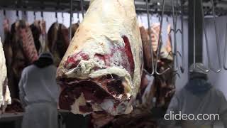 Beef Deboning Easy Demonstration