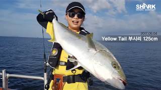 [Shark] 태도, 놀라움의 연속을 경험하다. (Yellow tail 부시리 147cm)