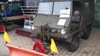 Steyr Puch Haflinger zum Verkaufen.