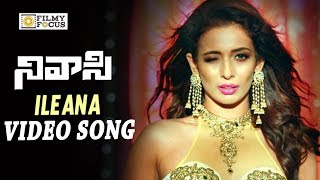 Ileana Video Song Trailer || Nivasi Movie Video Songs | Sekhar Varma, Viviya, Vidya - Filmyfocus.com